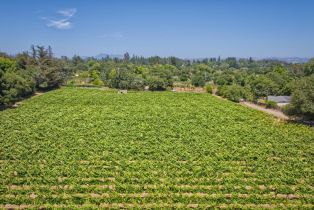 Agriculture,  116 N highway, Russian River, CA 95472 - 28