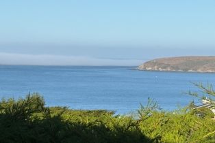 Single Family Residence,  Grebe court, Bodega Bay, CA 94923 - 2