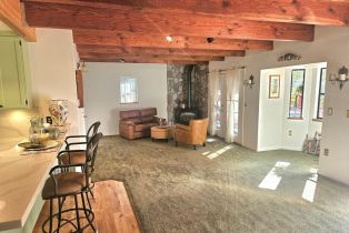 Single Family Residence,  Drake road, Russian River, CA 95446 - 35