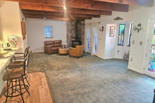 Single Family Residence,  Drake road, Russian River, CA 95446 - 33