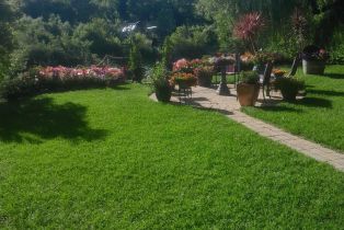 Single Family Residence,  Drake road, Russian River, CA 95446 - 14