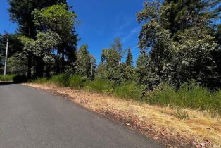 Residential Lot,  Woods avenue, Russian River, CA 95446 - 6