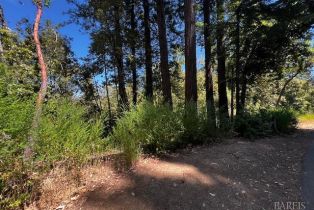 Residential Lot,  Woods avenue, Russian River, CA 95446 - 4
