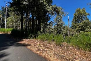 Residential Lot,  Woods avenue, Russian River, CA 95446 - 5