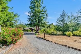 Single Family Residence, Harrison Grade road, Sebastopol, CA 95472 - 62