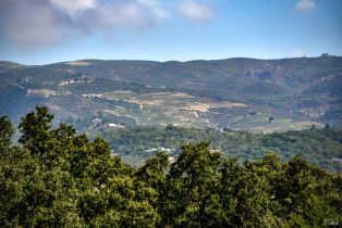 Single Family Residence,  Repetto Ranch road, Sonoma, CA 95476 - 52