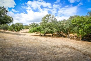Single Family Residence,  Repetto Ranch road, Sonoma, CA 95476 - 32
