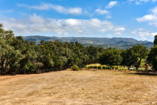 Single Family Residence,  Repetto Ranch road, Sonoma, CA 95476 - 31