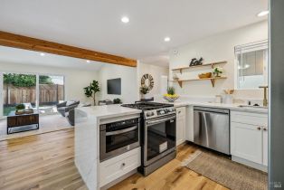 Single Family Residence, Washington avenue, Sebastopol, CA 95472 - 18