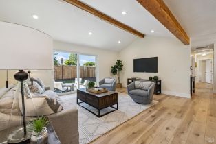 Single Family Residence, Washington avenue, Sebastopol, CA 95472 - 7