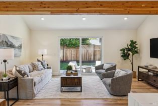 Single Family Residence, Washington avenue, Sebastopol, CA 95472 - 8