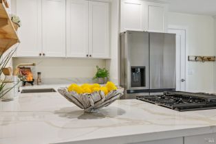 Single Family Residence, Washington avenue, Sebastopol, CA 95472 - 16