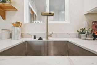 Single Family Residence, Washington avenue, Sebastopol, CA 95472 - 19