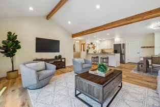 Single Family Residence, Washington avenue, Sebastopol, CA 95472 - 10