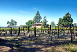 Single Family Residence,  8th street, Sonoma, CA 95476 - 84