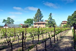 Single Family Residence,  8th street, Sonoma, CA 95476 - 82