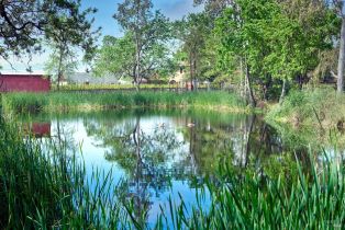 Single Family Residence,  8th street, Sonoma, CA 95476 - 85