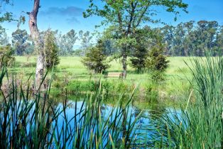 Single Family Residence,  8th street, Sonoma, CA 95476 - 7