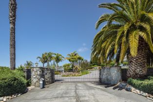 Single Family Residence,  Ely road, Petaluma, CA 94954 - 5