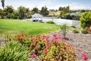 Single Family Residence,  Ely road, Petaluma, CA 94954 - 60