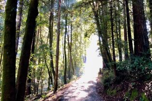 Residential Income,  Park avenue, Russian River, CA 95446 - 38