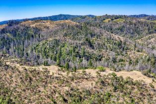 Residential Acreage,  Chicken Ridge road, Healdsburg, CA 95448 - 11