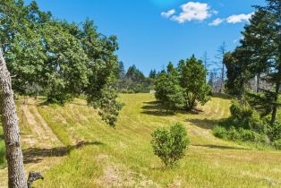 Land, 3444 Chicken Ridge Rd, Healdsburg, CA  Healdsburg, CA 95448