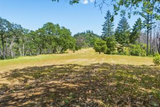 Residential Acreage,  Chicken Ridge road, Healdsburg, CA 95448 - 4
