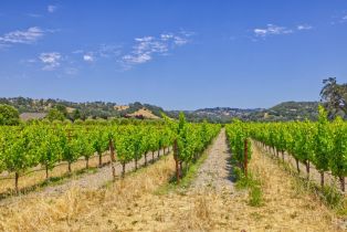 Agriculture,  Pleasant avenue, Windsor, CA 95403 - 10