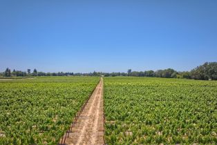 Agriculture,  Pleasant avenue, Windsor, CA 95403 - 19