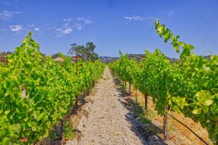 Agriculture,  Pleasant avenue, Windsor, CA 95403 - 11