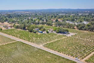 Agriculture,  Pleasant avenue, Windsor, CA 95403 - 15