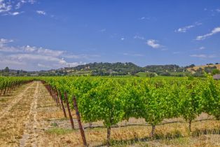 Agriculture,  Pleasant avenue, Windsor, CA 95403 - 7
