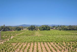 Agriculture,  Pleasant avenue, Windsor, CA 95403 - 12