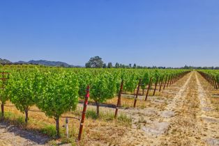 Single Family Residence,  Pleasant avenue, Windsor, CA 95403 - 9