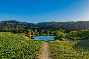 Single Family Residence,  Franz Valley road, Calistoga, CA 94515 - 90