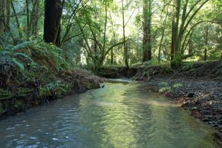 Residential Acreage,  Felta road, Healdsburg, CA 95448 - 13