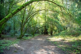 Residential Acreage,  Felta road, Healdsburg, CA 95448 - 7