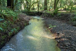 Residential Acreage,  Felta road, Healdsburg, CA 95448 - 14