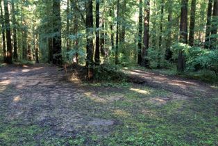 Residential Acreage,  Felta road, Healdsburg, CA 95448 - 5