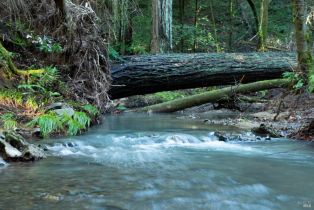 Residential Acreage,  Felta road, Healdsburg, CA 95448 - 8