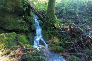 Residential Acreage,  Felta road, Healdsburg, CA 95448 - 9