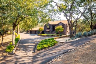 Single Family Residence,  Petrified Forest road, Calistoga, CA 94515 - 5