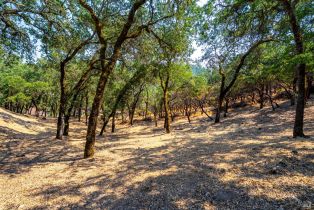 Single Family Residence,  Petrified Forest road, Calistoga, CA 94515 - 49
