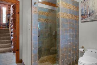 Single Family Residence,  Petrified Forest road, Calistoga, CA 94515 - 34