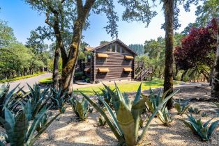 Single Family Residence,  Petrified Forest road, Calistoga, CA 94515 - 48
