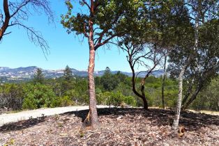 Residential Lot, Parcel 3 Enterprise road, Glen Ellen, CA 95442 - 6