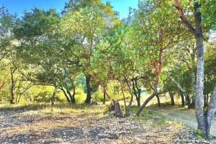 Residential Lot, Parcel 3 Enterprise road, Glen Ellen, CA 95442 - 13