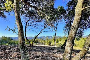 Residential Lot, Parcel 3 Enterprise road, Glen Ellen, CA 95442 - 8