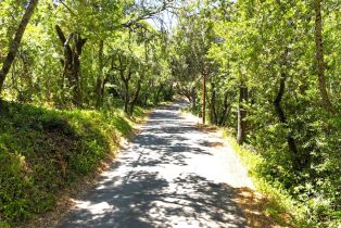 Residential Lot, #2 & #3 Enterprise road, Glen Ellen, CA 95442 - 29